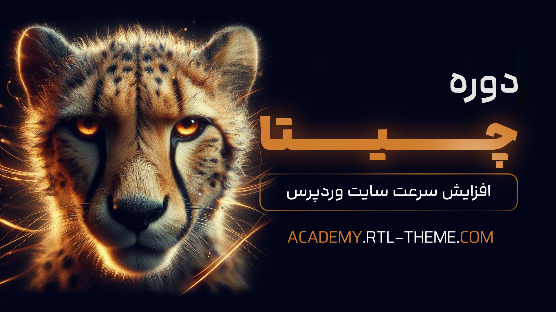 دوره افزایش سرعت سایت